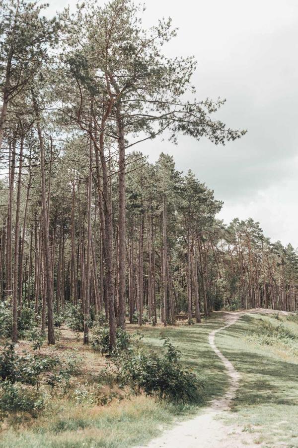 Boshuisje Op De Veluwe 넌스피트 외부 사진