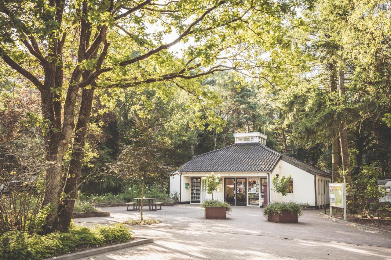 Boshuisje Op De Veluwe 넌스피트 외부 사진